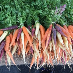 Growing great carrots can be so rewarding