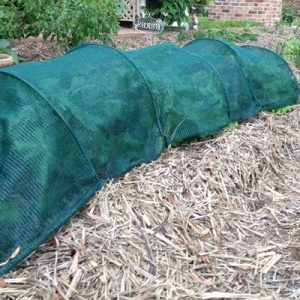protecting-lettuce-shade-tunnel-400