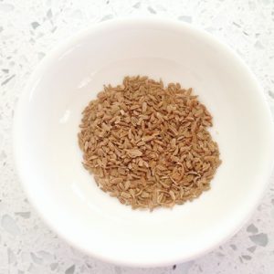 Carrot seeds ready for soaking before planting