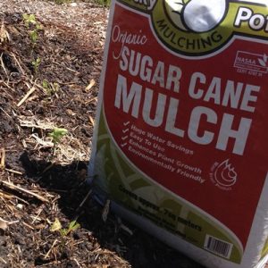 sugar-cane-mulch-400