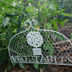 Organic vegies in rich soils